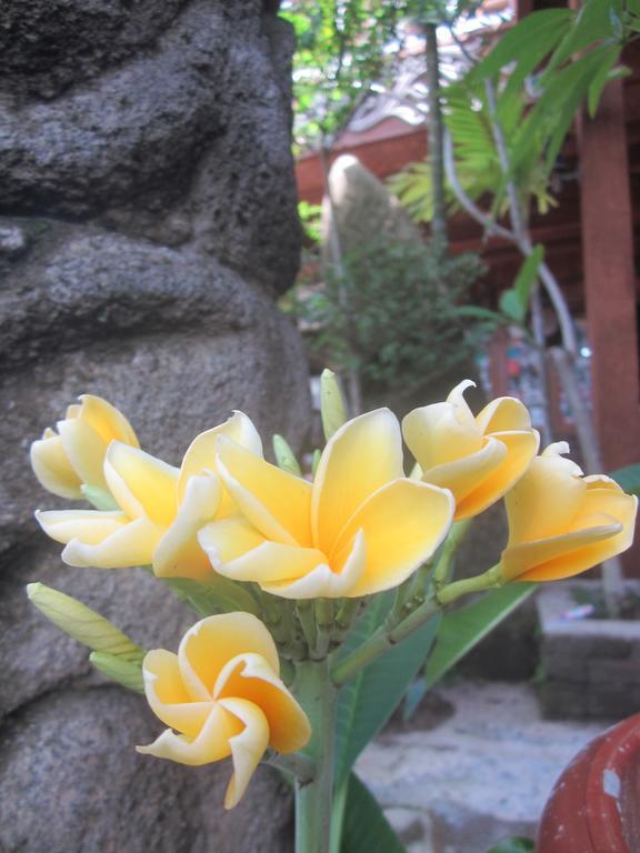 Mini Tiga Homestay Pangandaran Exterior photo